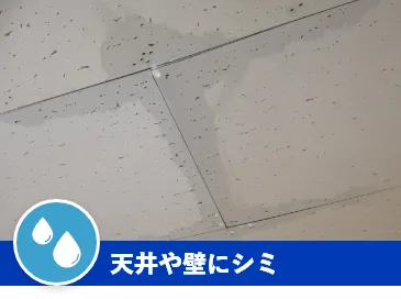 天井や壁にシミ