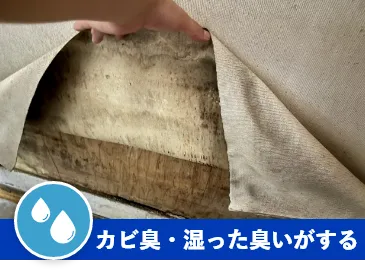 カビ臭・湿った臭いがする