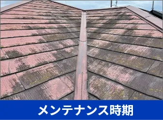  メンテナンス時期