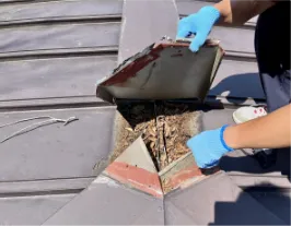 既存屋根の状態確認・下地補強